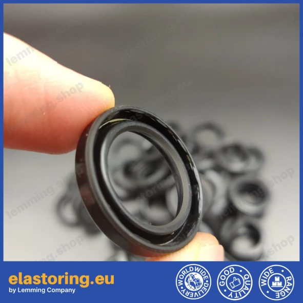 Oil seal 6x10x2 VC FPM Oil seal 6x10x2 VC FPM